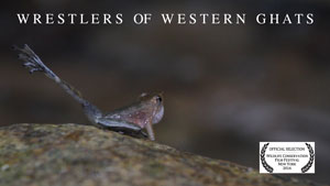 Wrestlers of Western Ghats Image